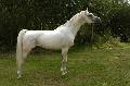 Sable d´Aigremont