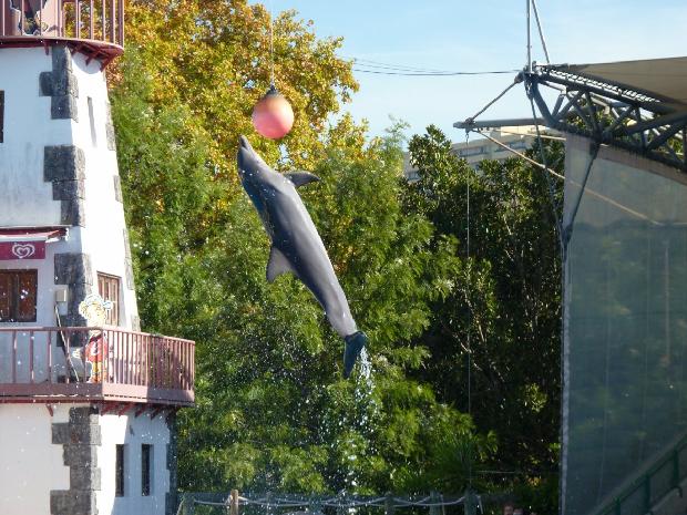 Golfinhos - Zoológico de Lisboa