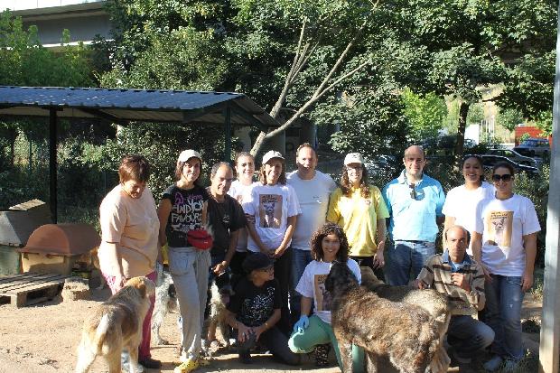 Acção de voluntariado - MIDAS