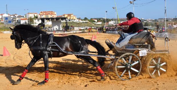 Atrelagem 1 cavalo - Porto Salvo 2012