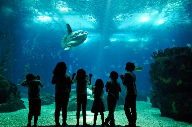 Oceanário de Lisboa