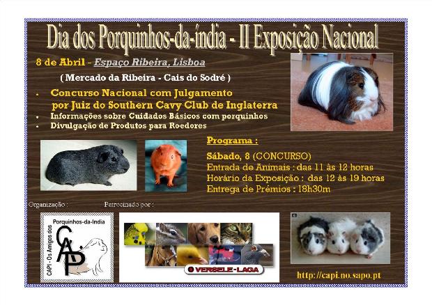 Porquinhos-da-índia na Ribeira