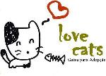 Love Cats - Gatos para Adopção