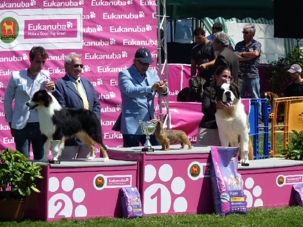 Jovem Promessa Machos - Sintra 2011