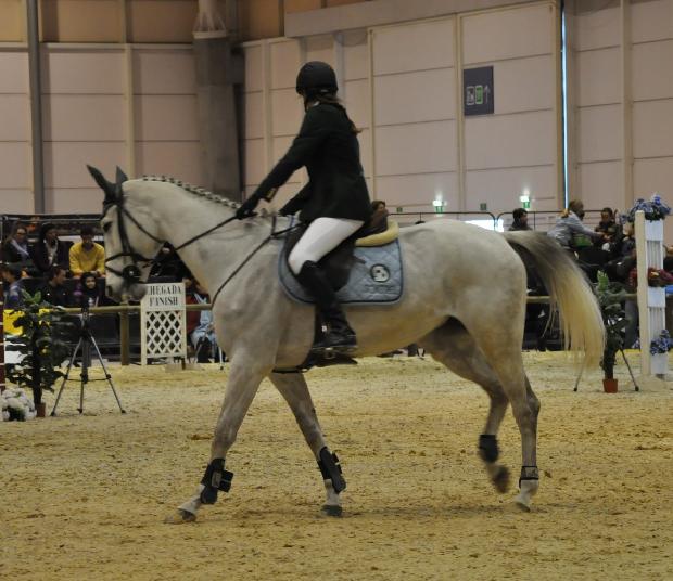 Concurso Nacional de Saltos - Pet Fil 2012