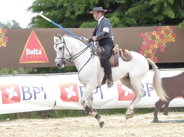 Prova de Equitação de Trabalho - Ovibeja 2012