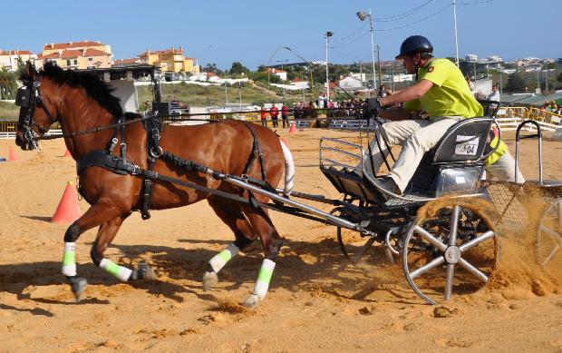 Atrelagem 1 cavalo - Porto Salvo 2012