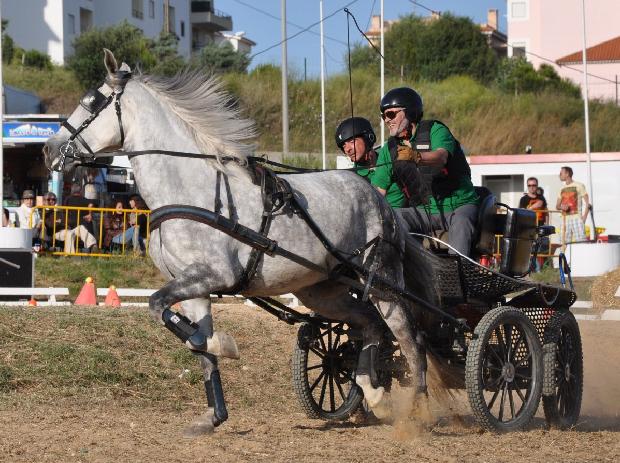 Atrelagem 1 cavalo - Porto Salvo 2012