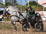 Atrelagem 1 cavalo - Porto Salvo 2012