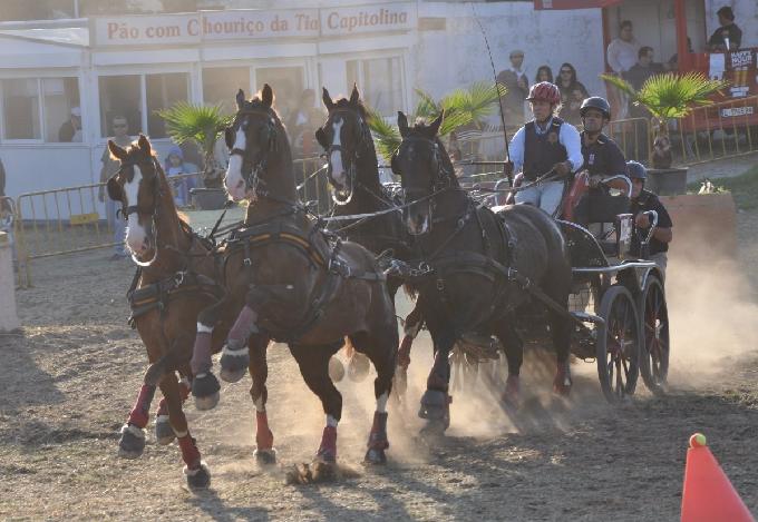 Atrelagem 4 cavalos - Porto Salvo 2012