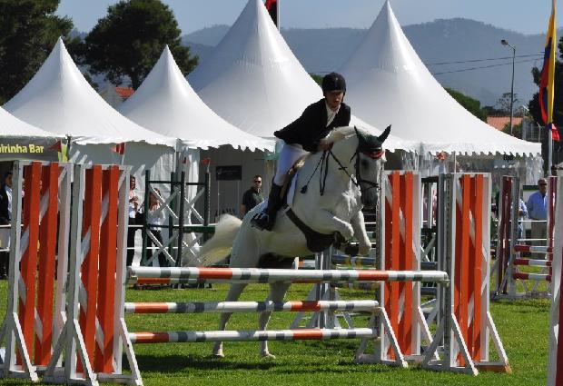 Lusitano - Salto obstáculos